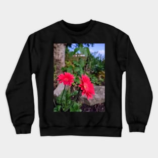 Garvinia Flowers (Gerbera) Crewneck Sweatshirt